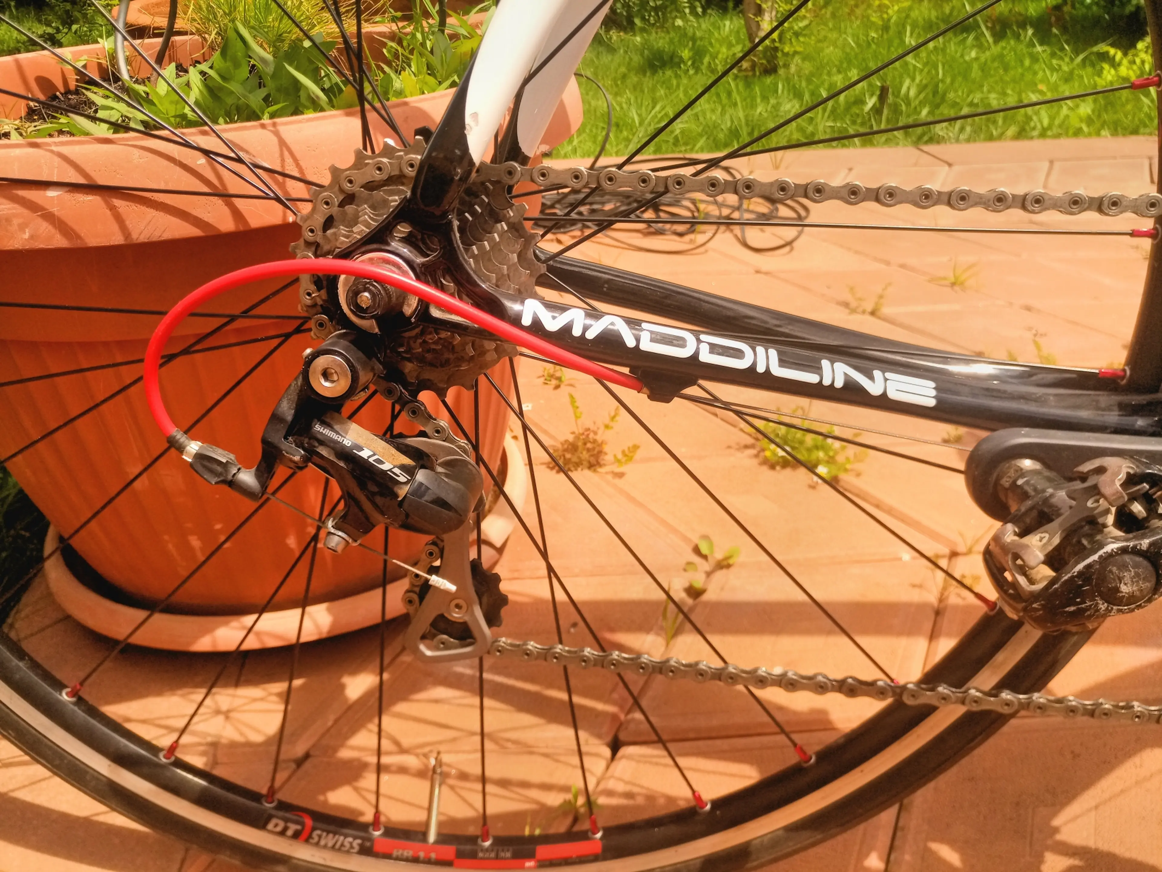 4. Vand Bicicleta Cursiera Full Carbon Unicat Maddiline Integro an 2018