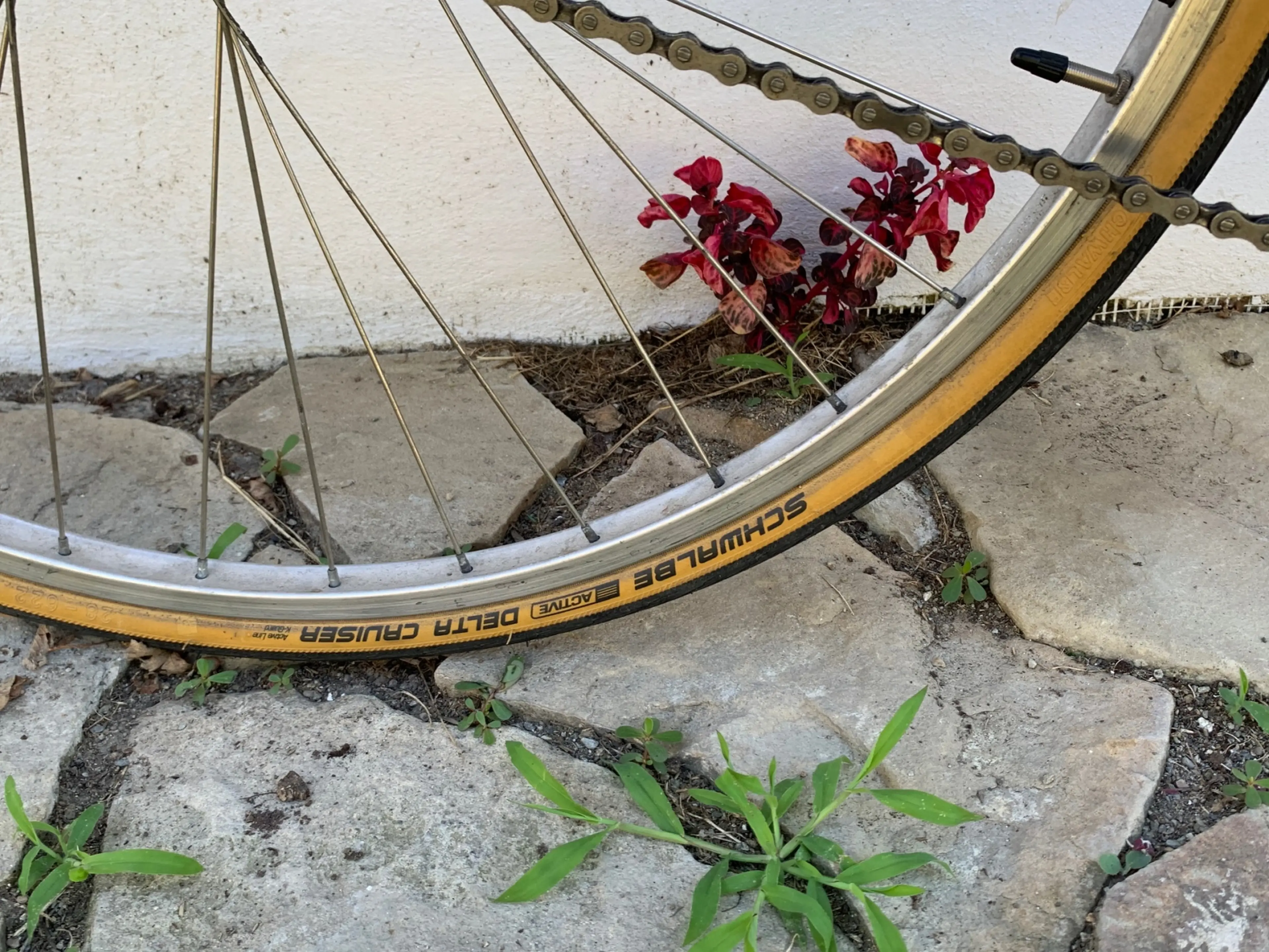 Image Vand bicicleta retro / cadru vintage