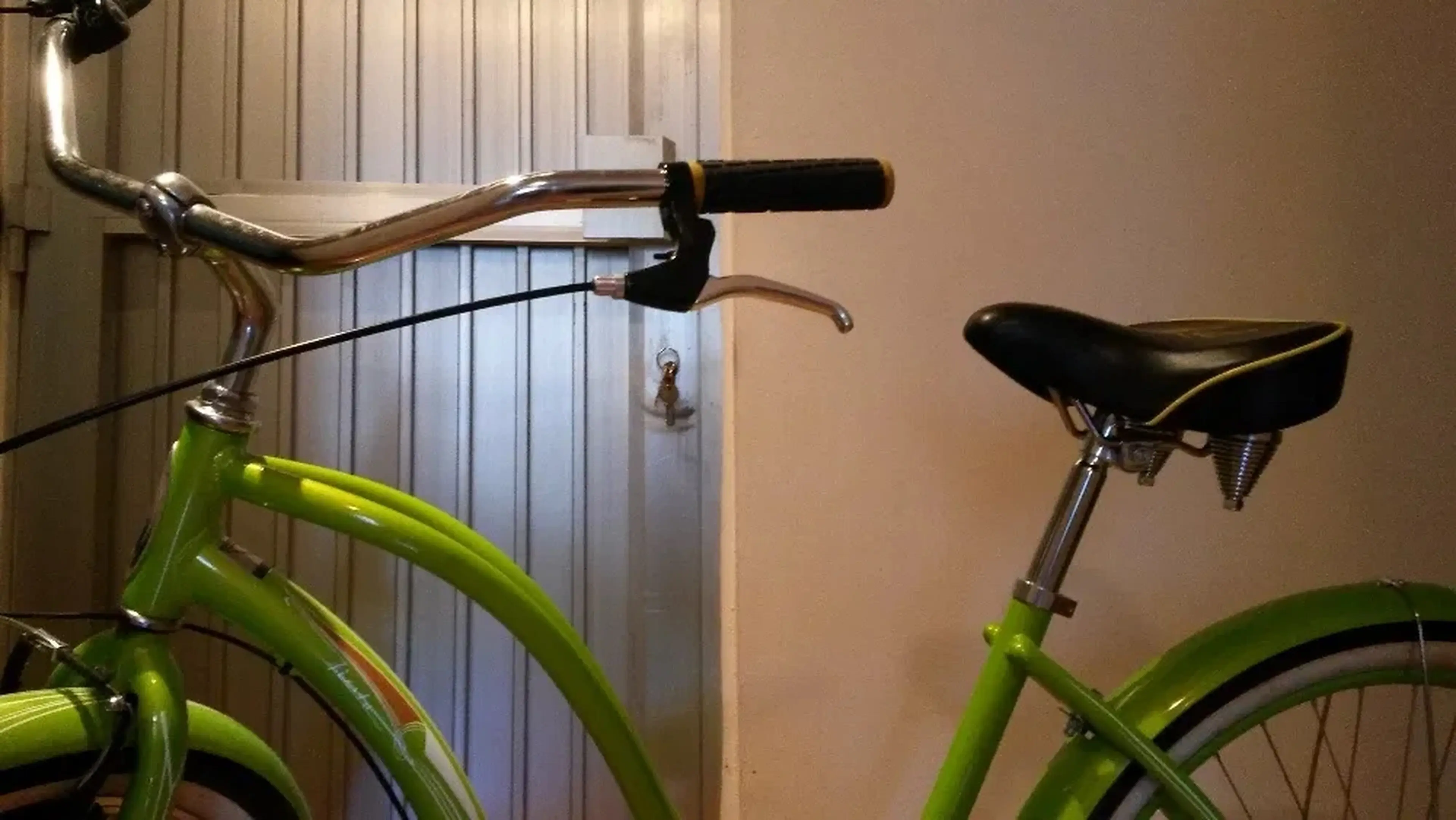 Image Vand bicicleta verde