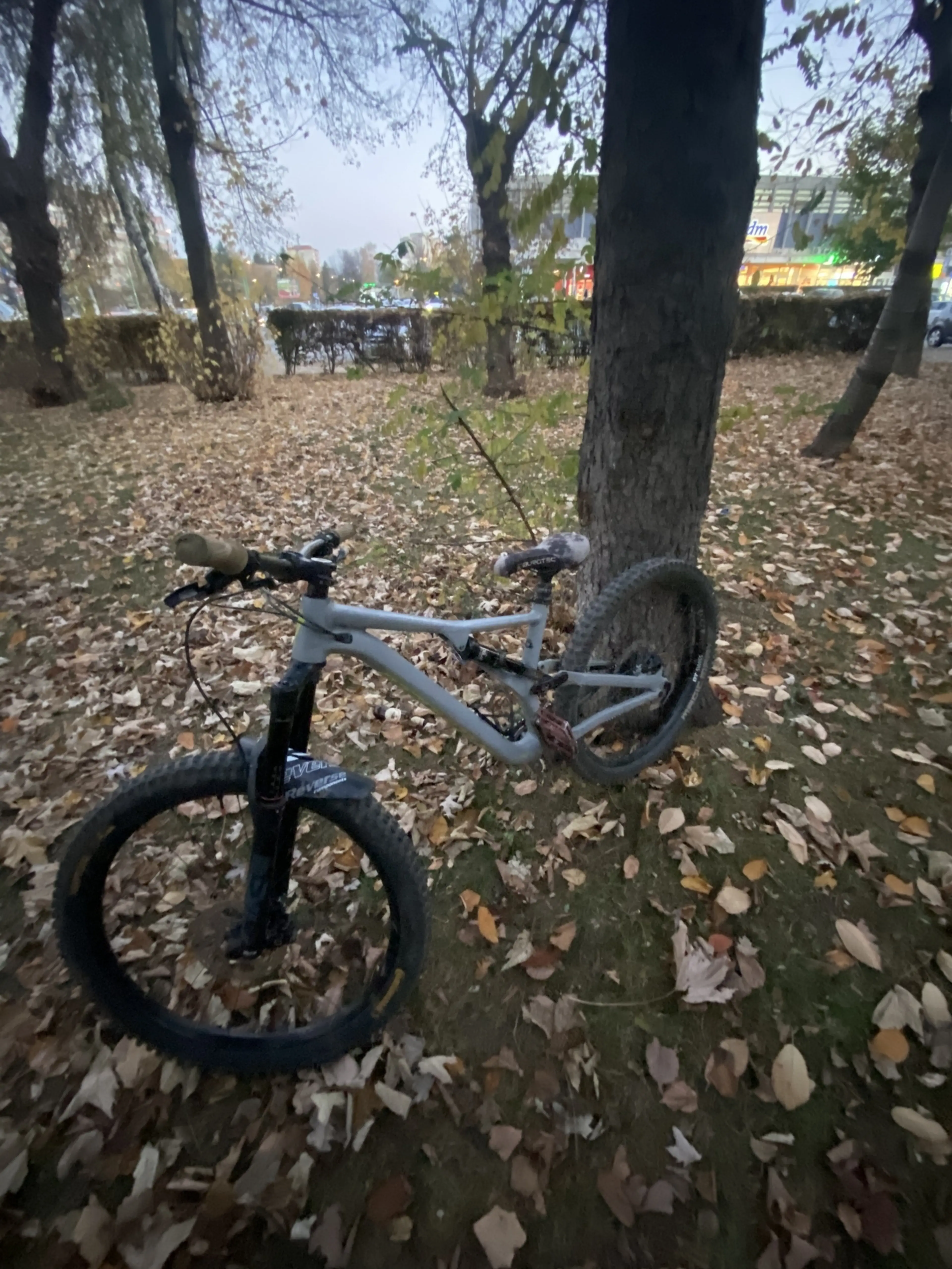 Image Specialized Stumpjumper 2019