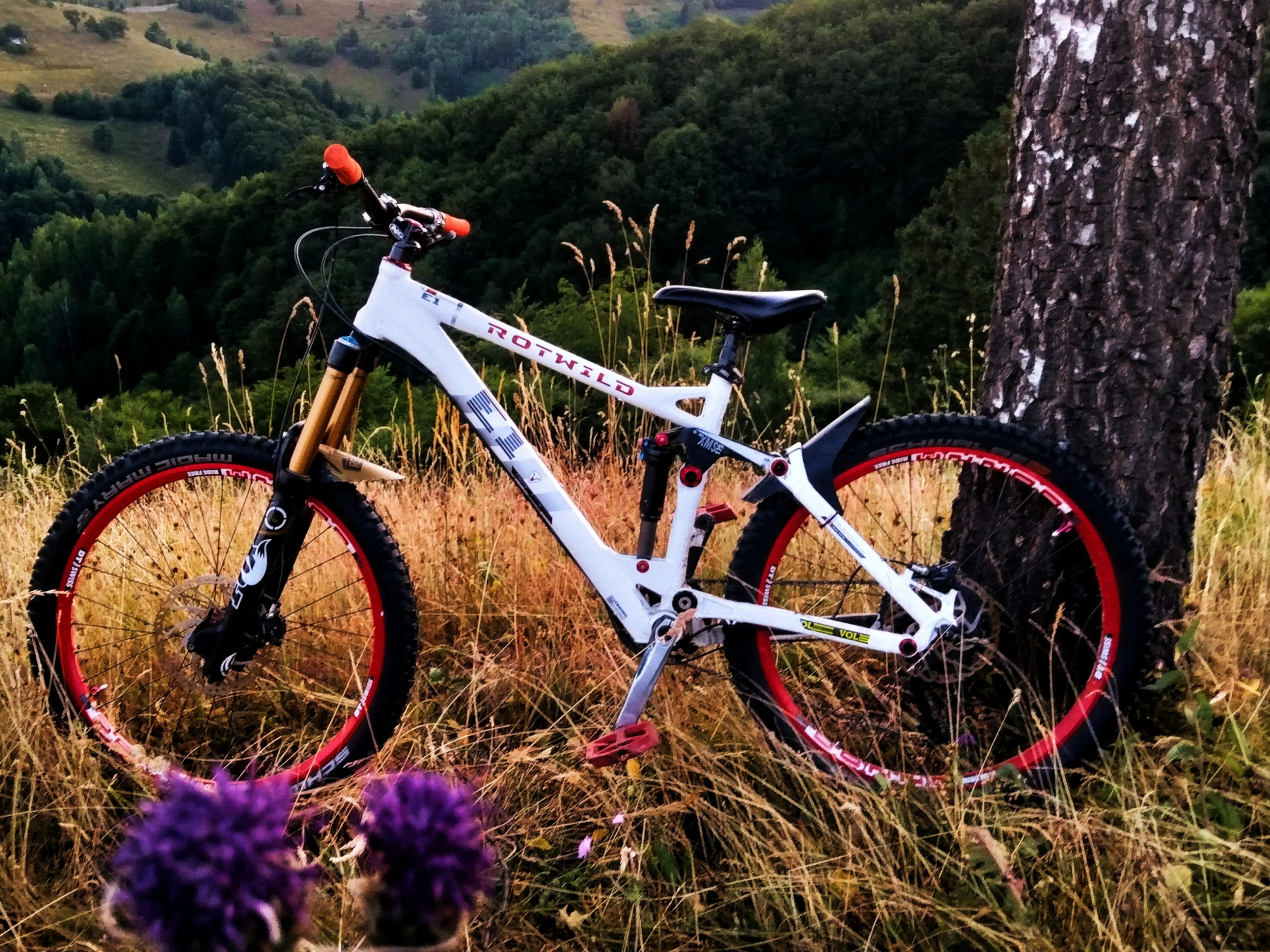 Image Vând bicicleta de enduro/freeride rotwild E1