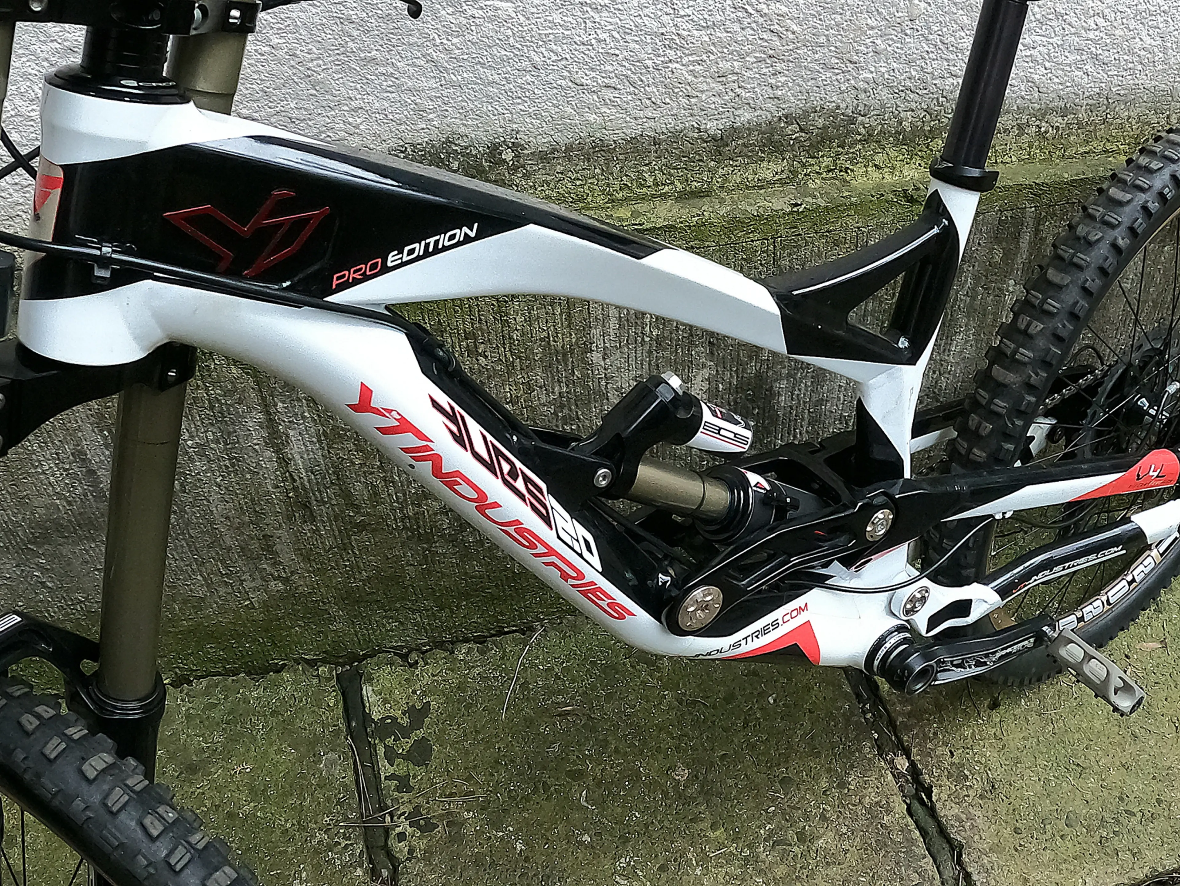 6. YT Industries Pro edition