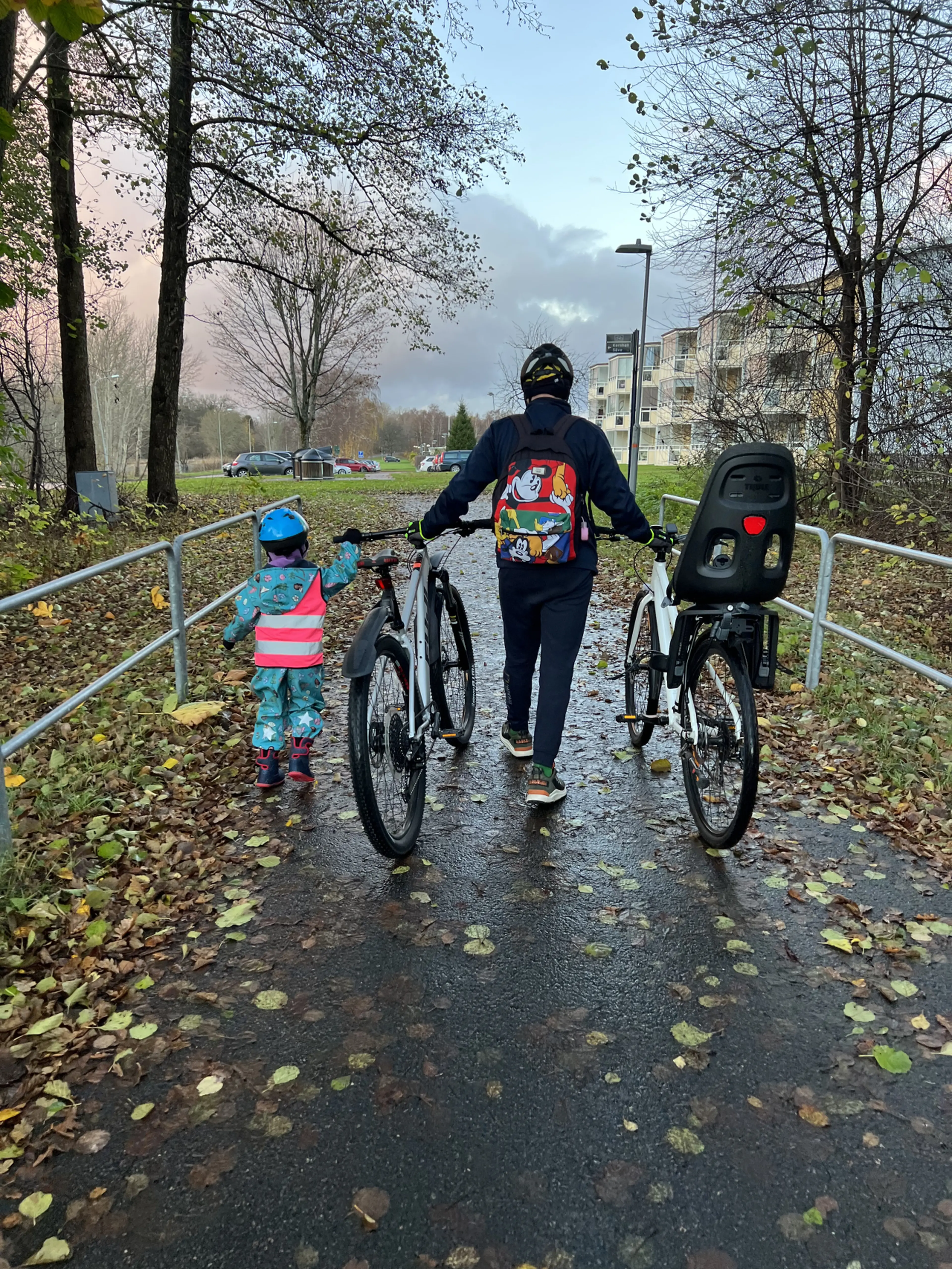 1. Set 2 biciclete de familie+scaun copil