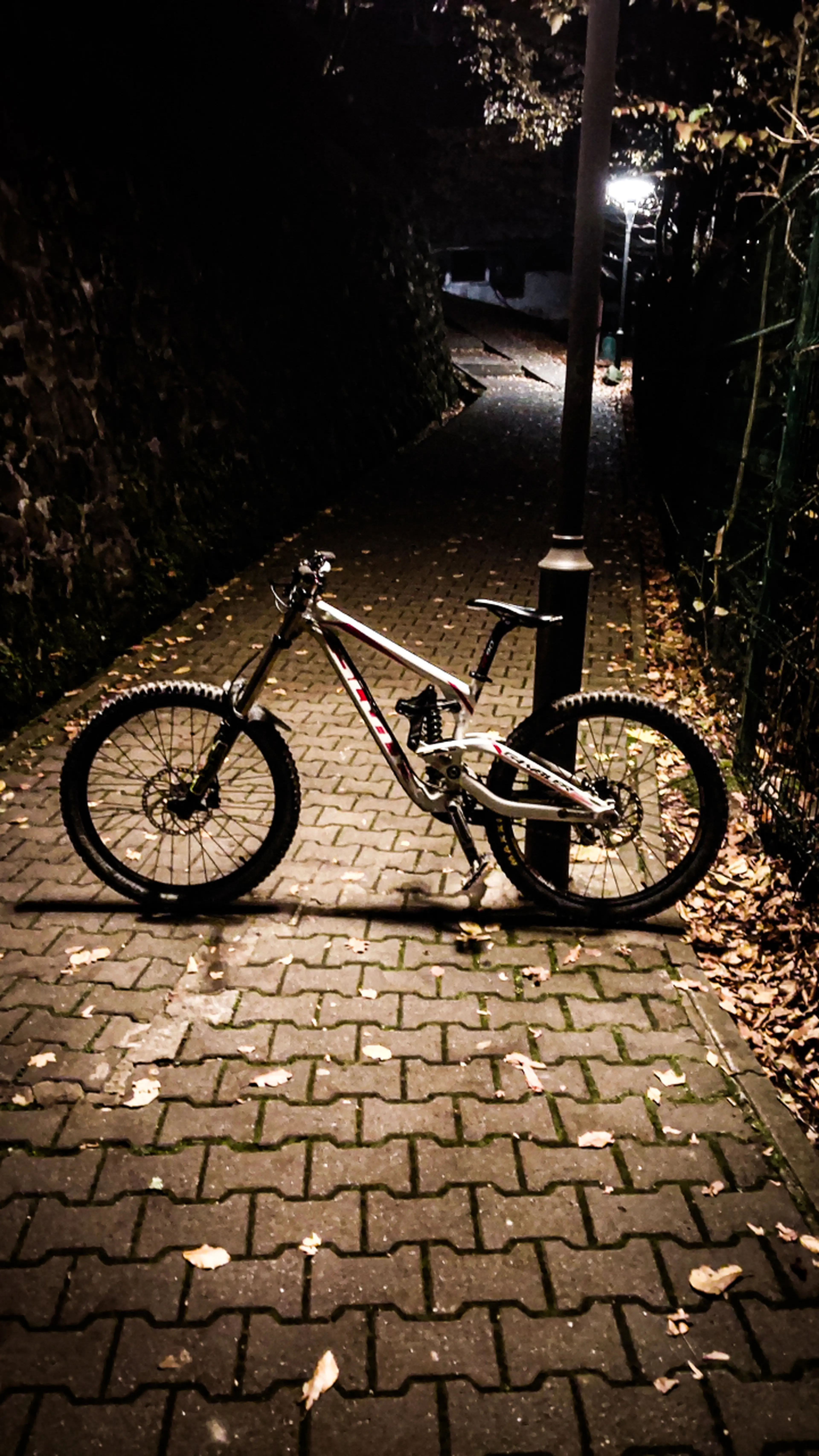 4. Vand bicicleta Downhill/Freeride Scott Gambler