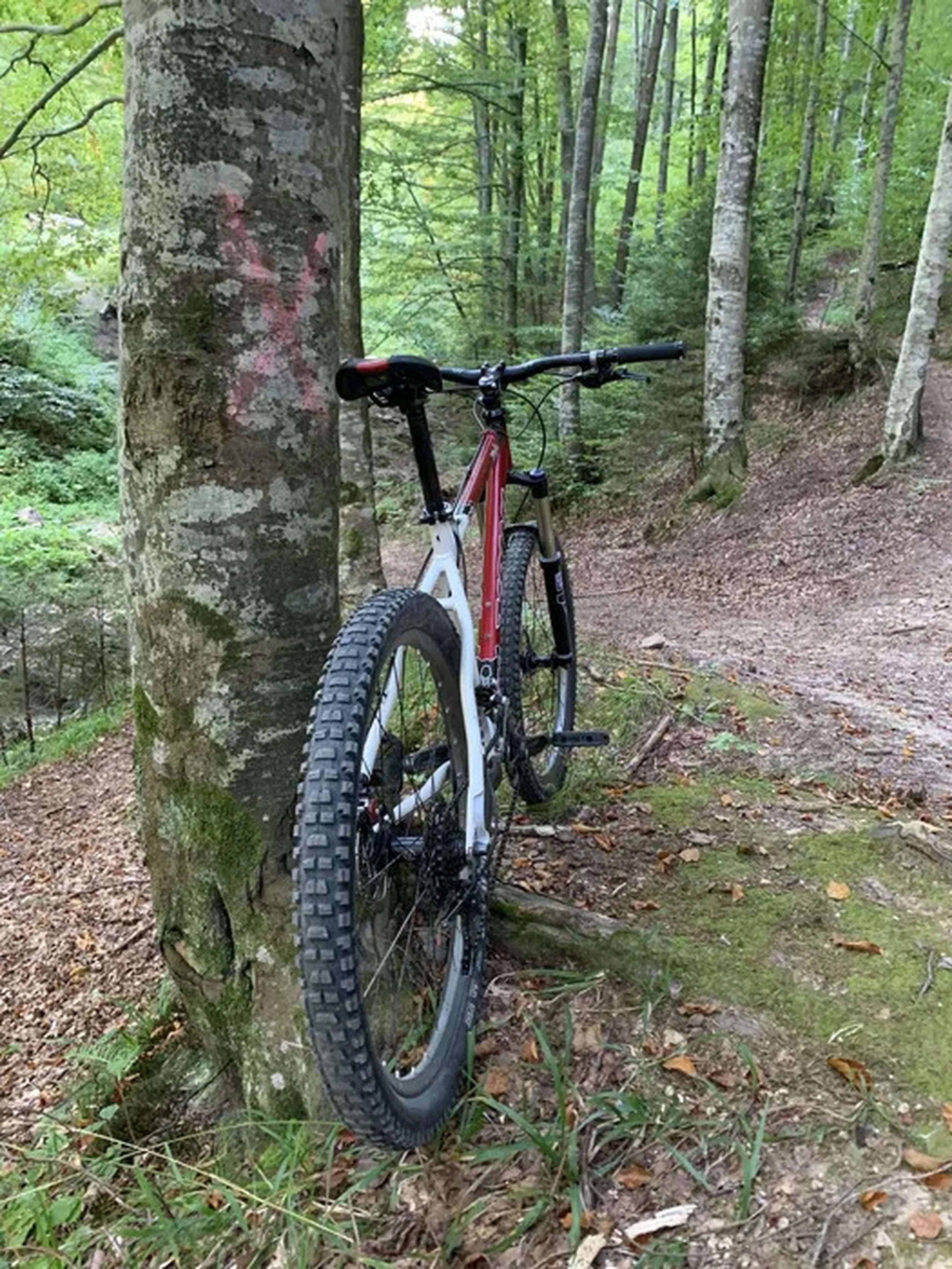 6. Bicicleta Kona Kula L - Mtb Trail 140 mm