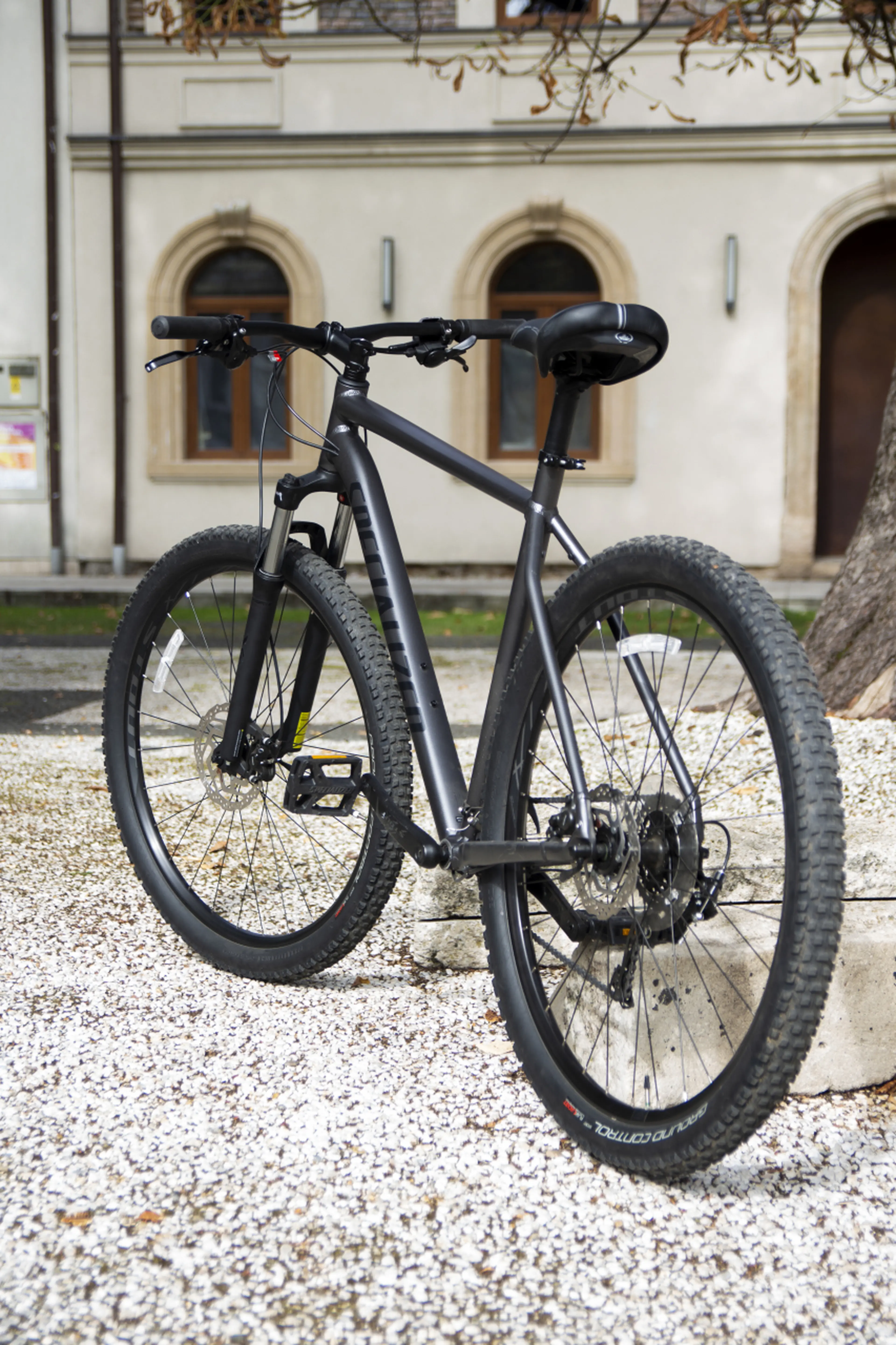 Image Bicicleta MTB "Specialized", XXL, roti 29, aproape noua
