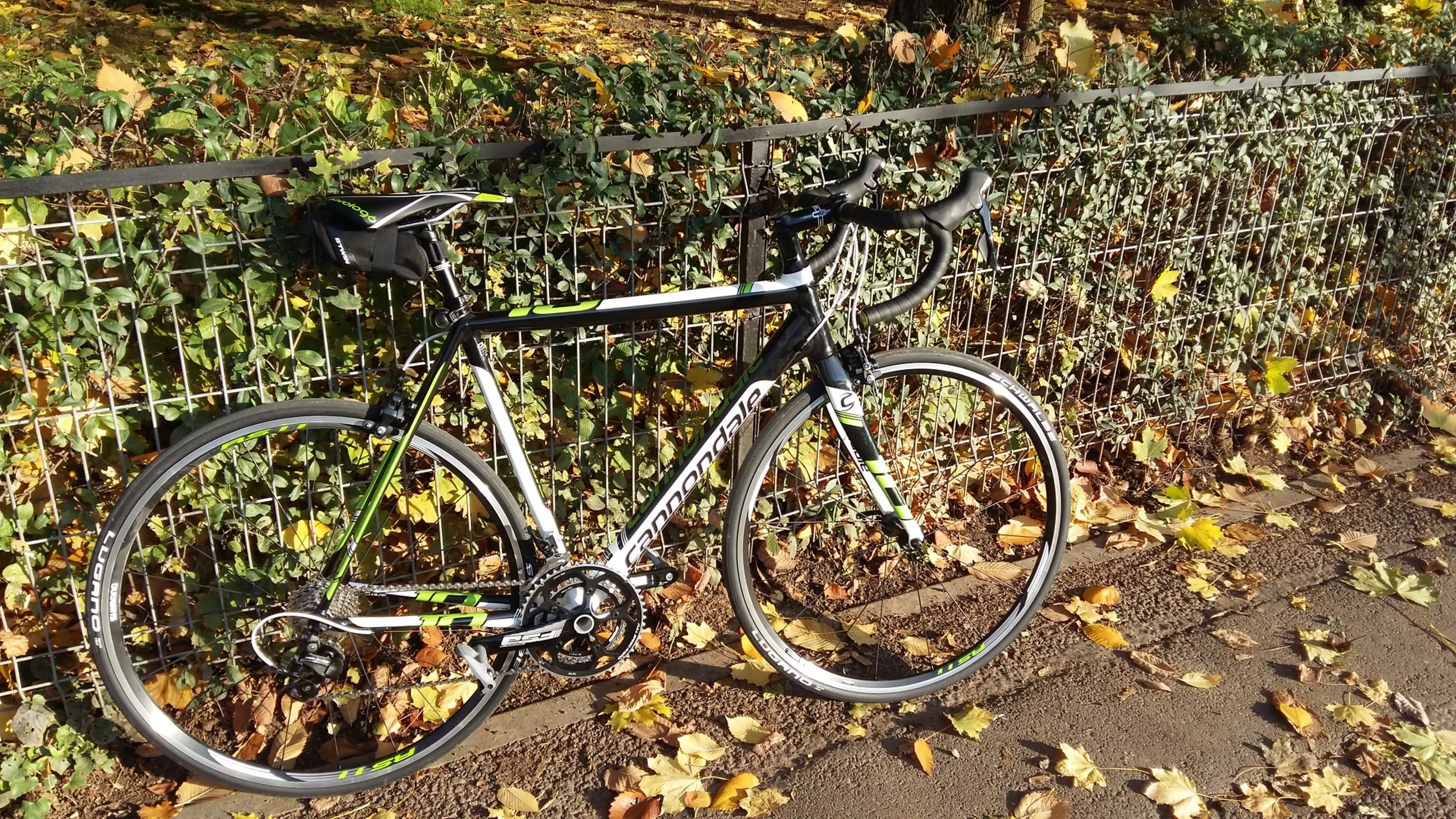 Image Cannondale CAAD 10 - size 56