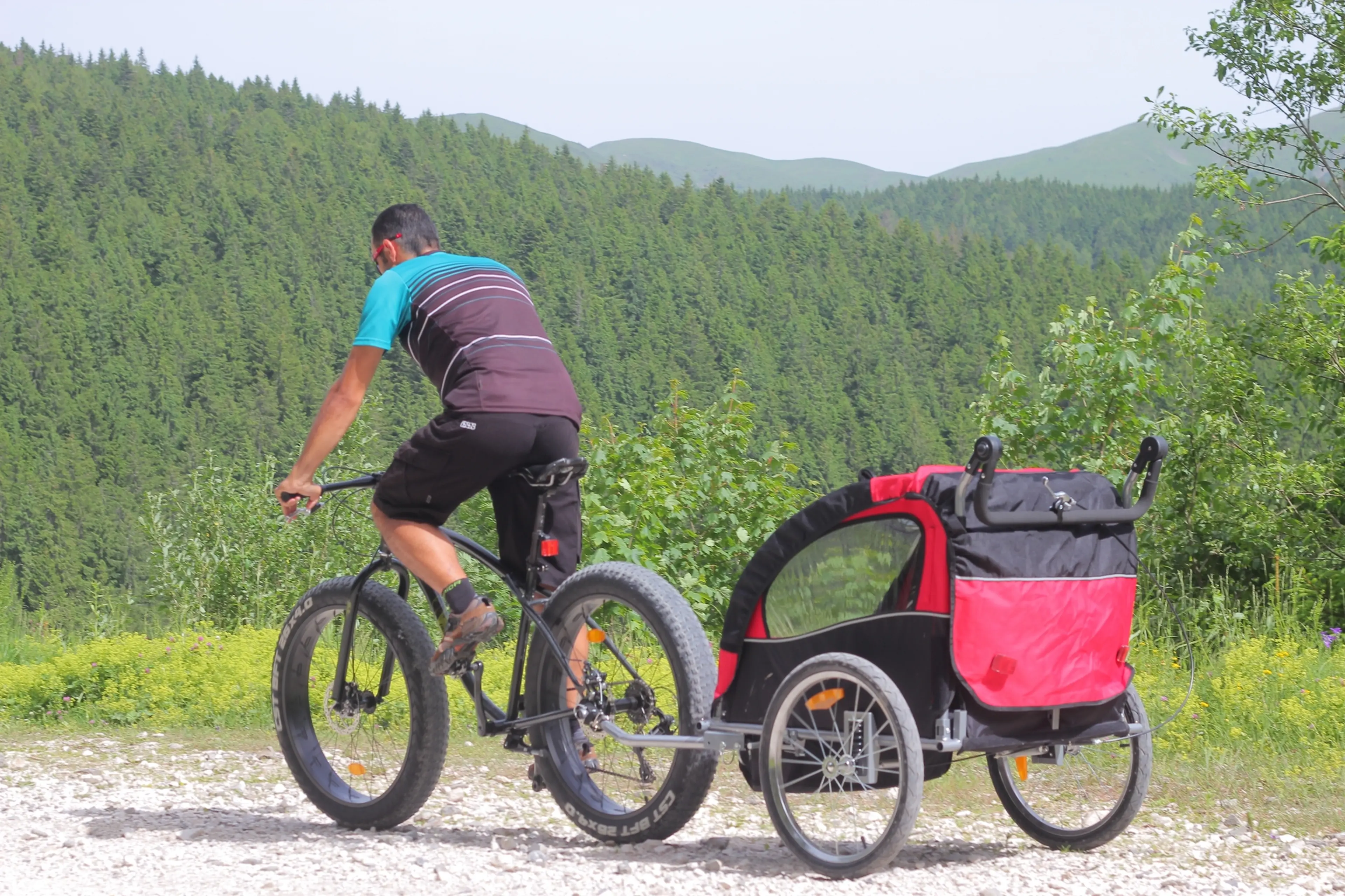 3. Carucior de bicicleta Qaba rosu-negru pentru 1 -2 copii, noua
