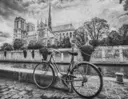 Bike Catedral