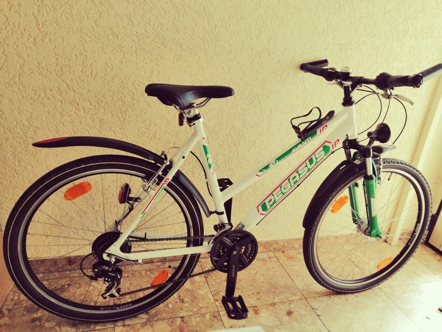 Religious Supple throne Bicicleta Pegasus - Biciclete second hand - Bazar DirtBike.ro Religious Supple throne Bicicleta Pegasus - Biciclete second hand - Bazar DirtBike.ro