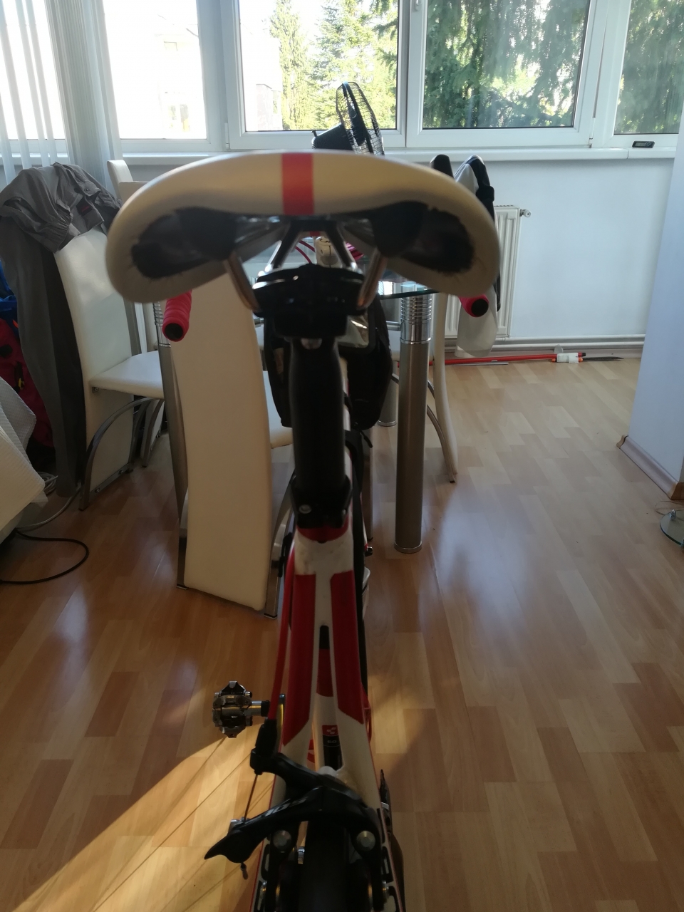 selle royal flite