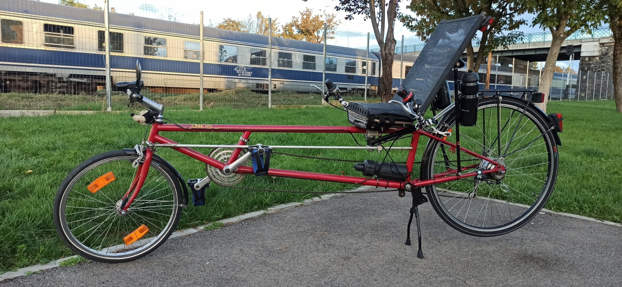 radius dinosaur bike