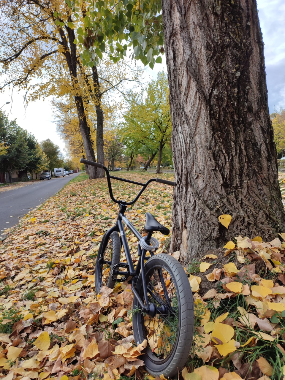 flybike bmx