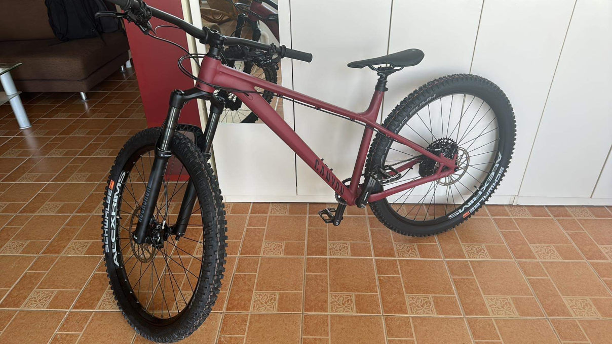 Canyon stoic online 3 for sale