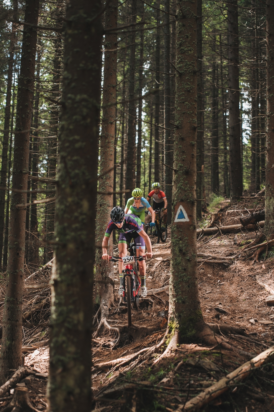 Raport din teritoriu: Păltiniș MTB Project 2016 & Geiger MTB Challenge 2016
