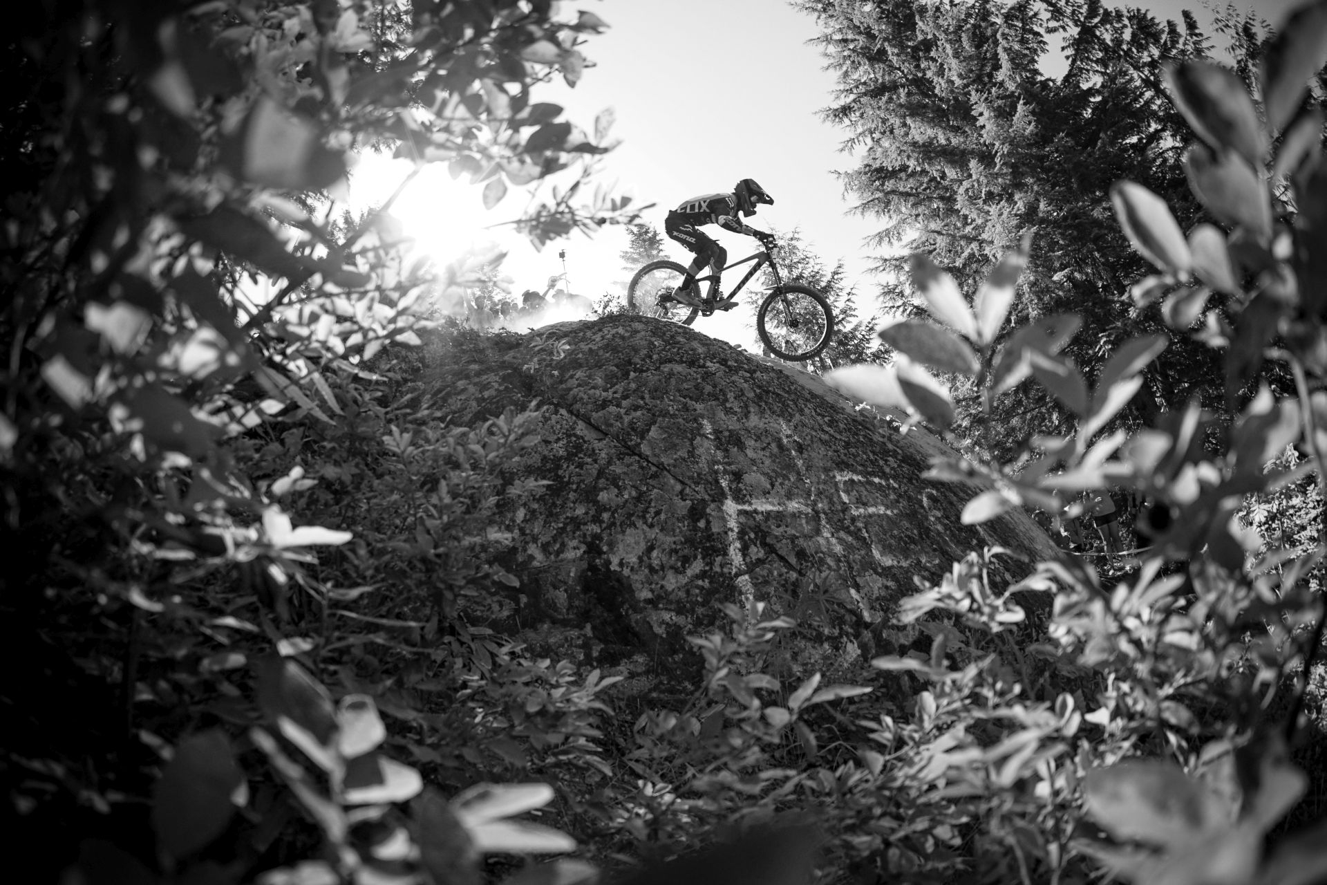 Crankworx Whistler 2016 - desertul în imagini de la Shepty