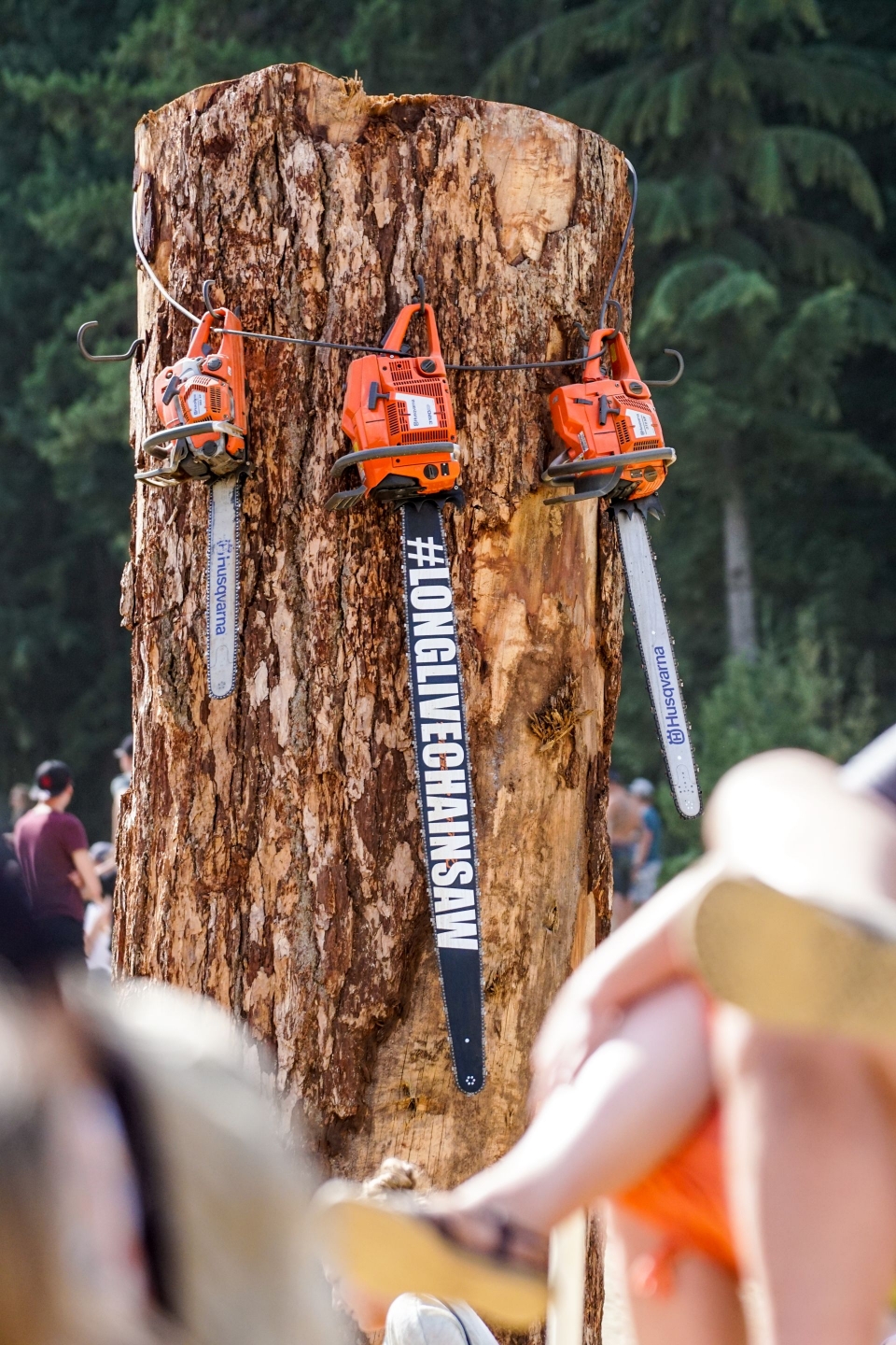 Crankworx Whistler 2016 - desertul în imagini de la Shepty