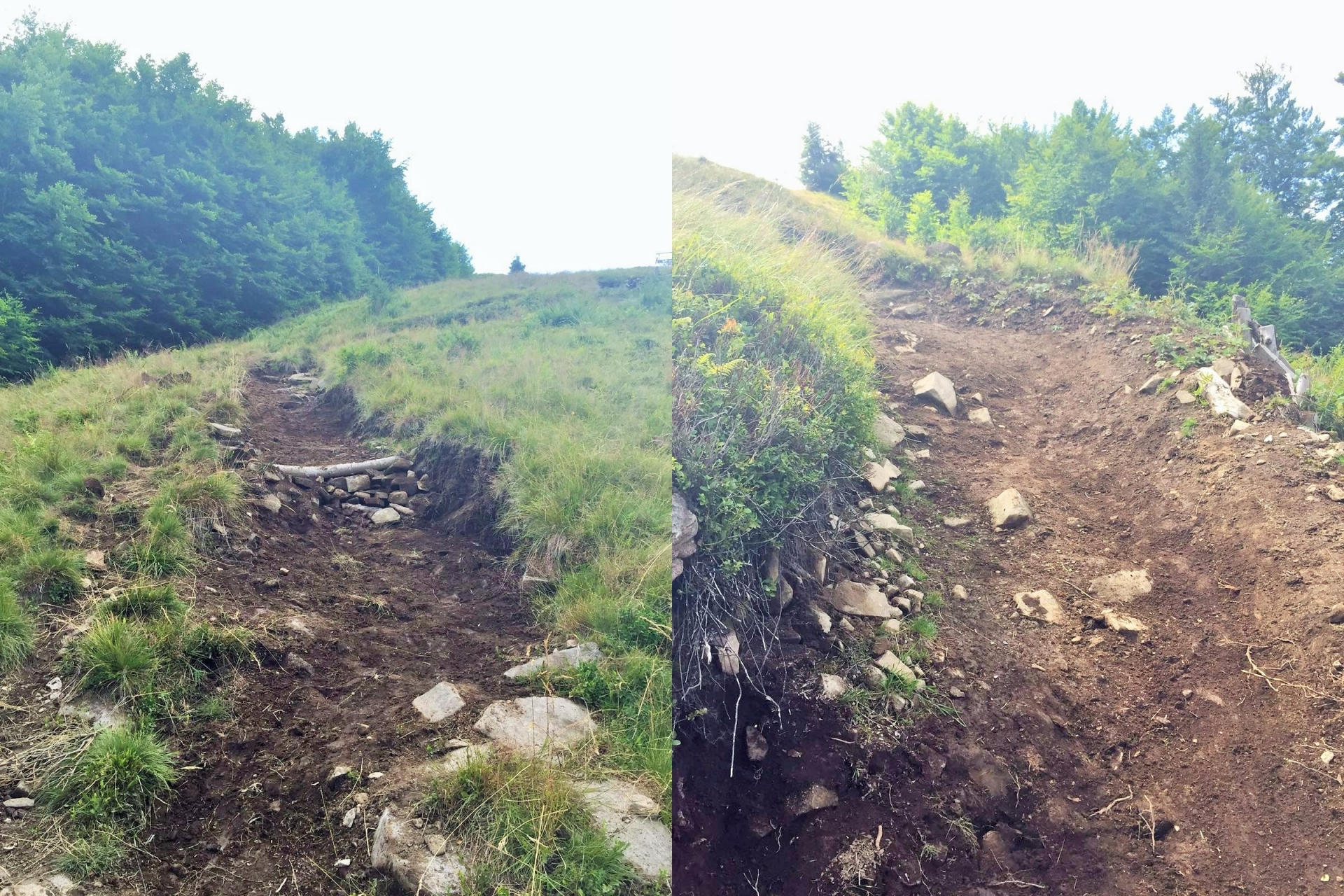CND #5 Mogoșa Downhill Challenge: despre cele bune din Nord