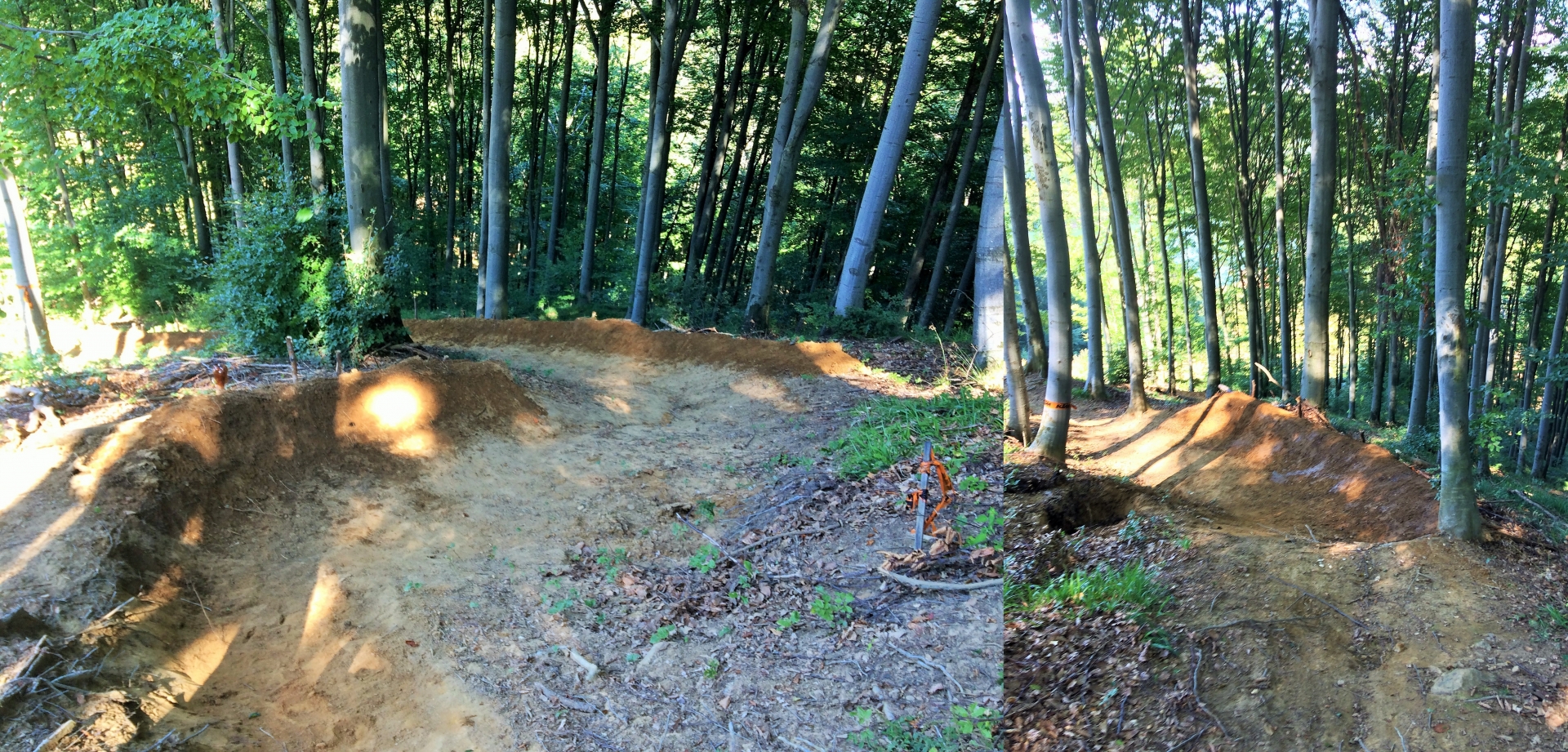 CND #5 Mogoșa Downhill Challenge: despre cele bune din Nord