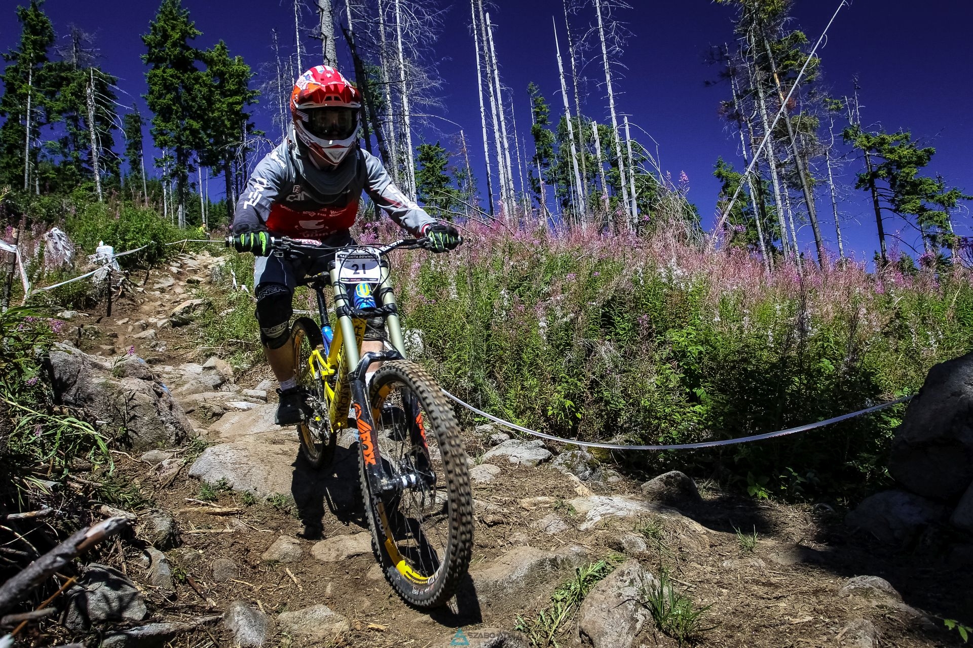 CND #4 Harghita Downhill: cercul care se închide armonios