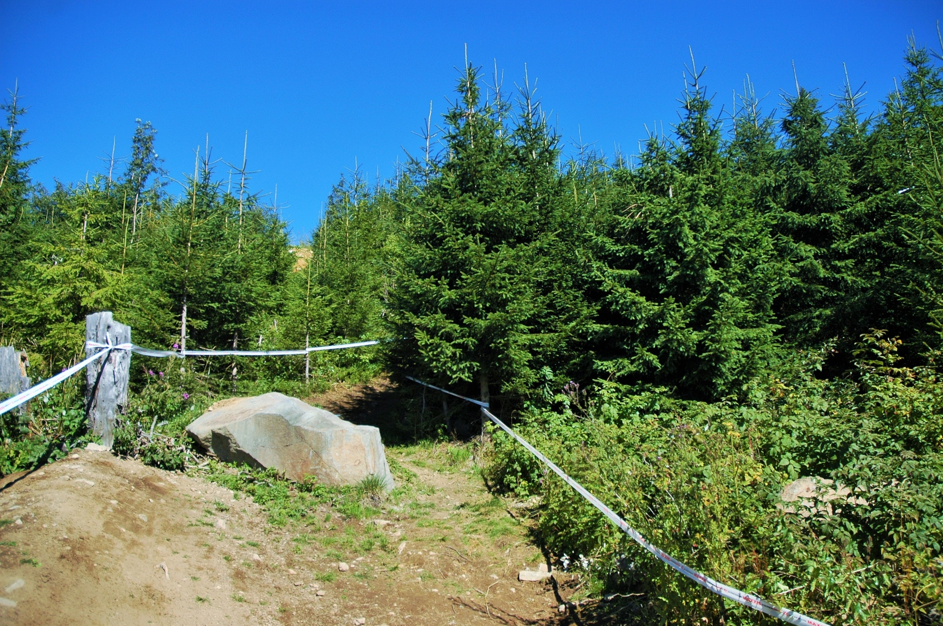 CND #4 Harghita Downhill: cercul care se închide armonios