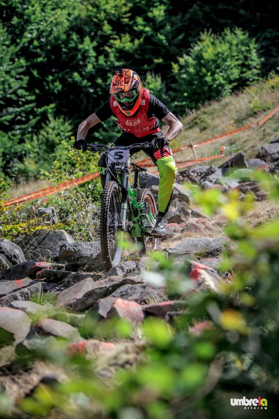 CND #5 Mogoșa Downhill Challenge: Nord se scrie cu majusculă!