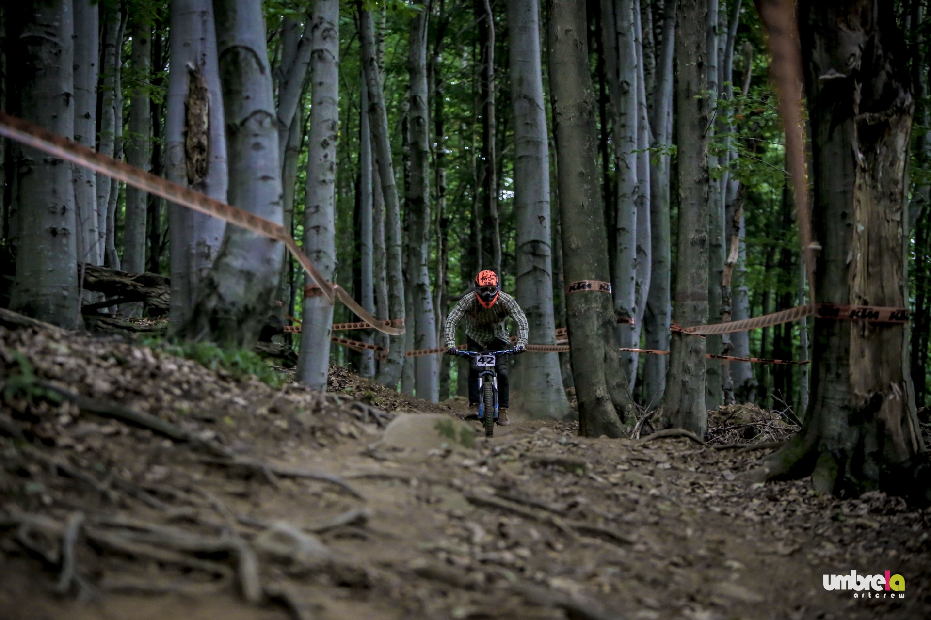 CND #5 Mogoșa Downhill Challenge: Nord se scrie cu majusculă!