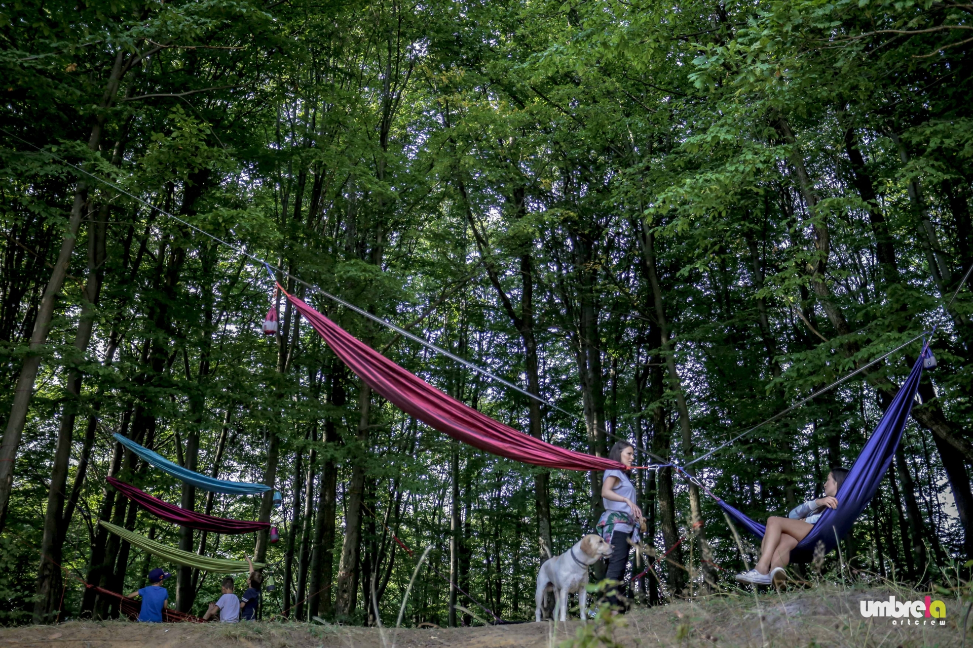 CND #5 Mogoșa Downhill Challenge: Nord se scrie cu majusculă!