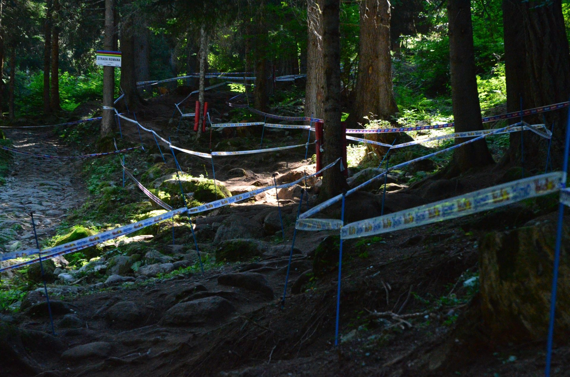 Val di Sole Worlds 2016 - track walk a.k.a. ”Hai bă, c-aveți amortizoare!”