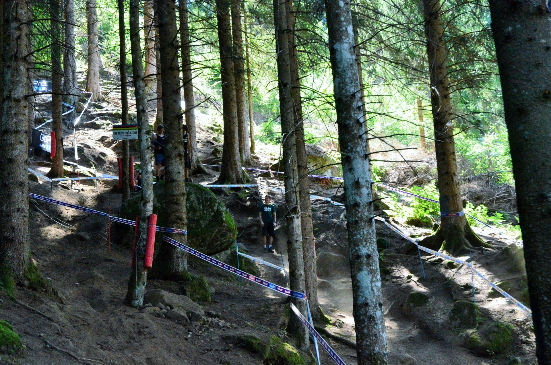 Val di Sole Worlds 2016 - track walk a.k.a. ”Hai bă, c-aveți amortizoare!”