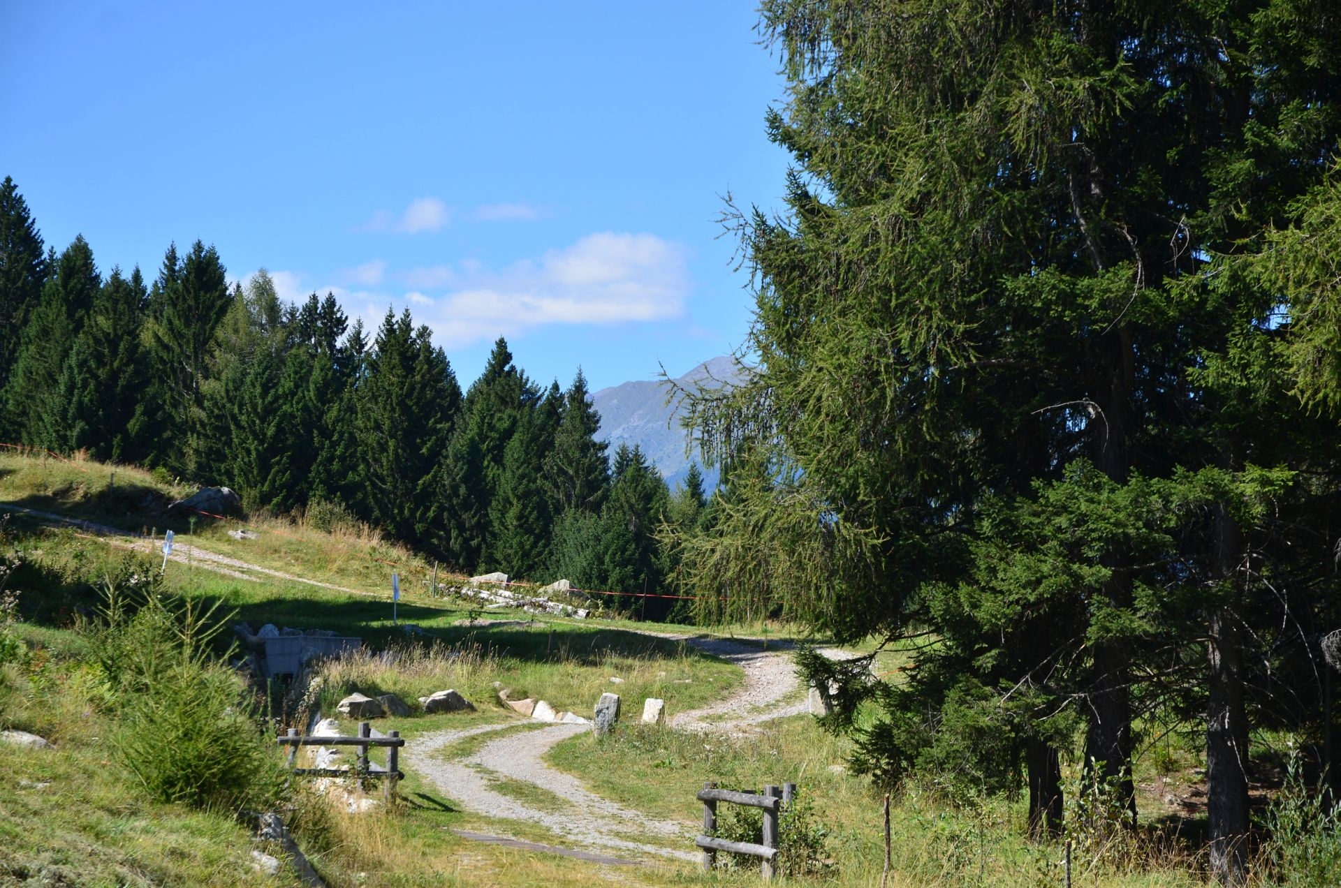 Val di Sole Worlds 2016 - track walk a.k.a. ”Hai bă, c-aveți amortizoare!”