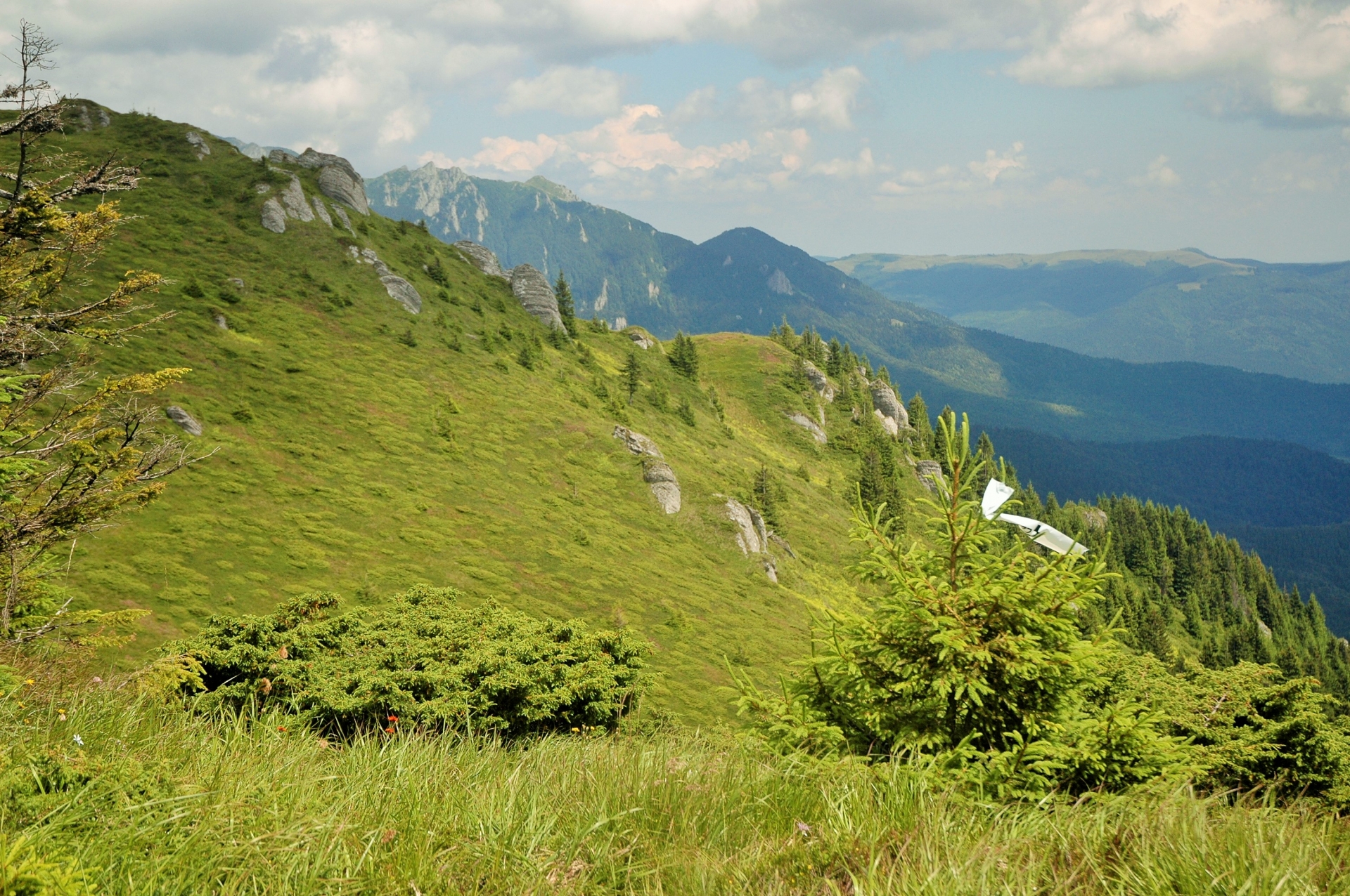 CNE #3 Ciucaș Enduro - Preludiul
