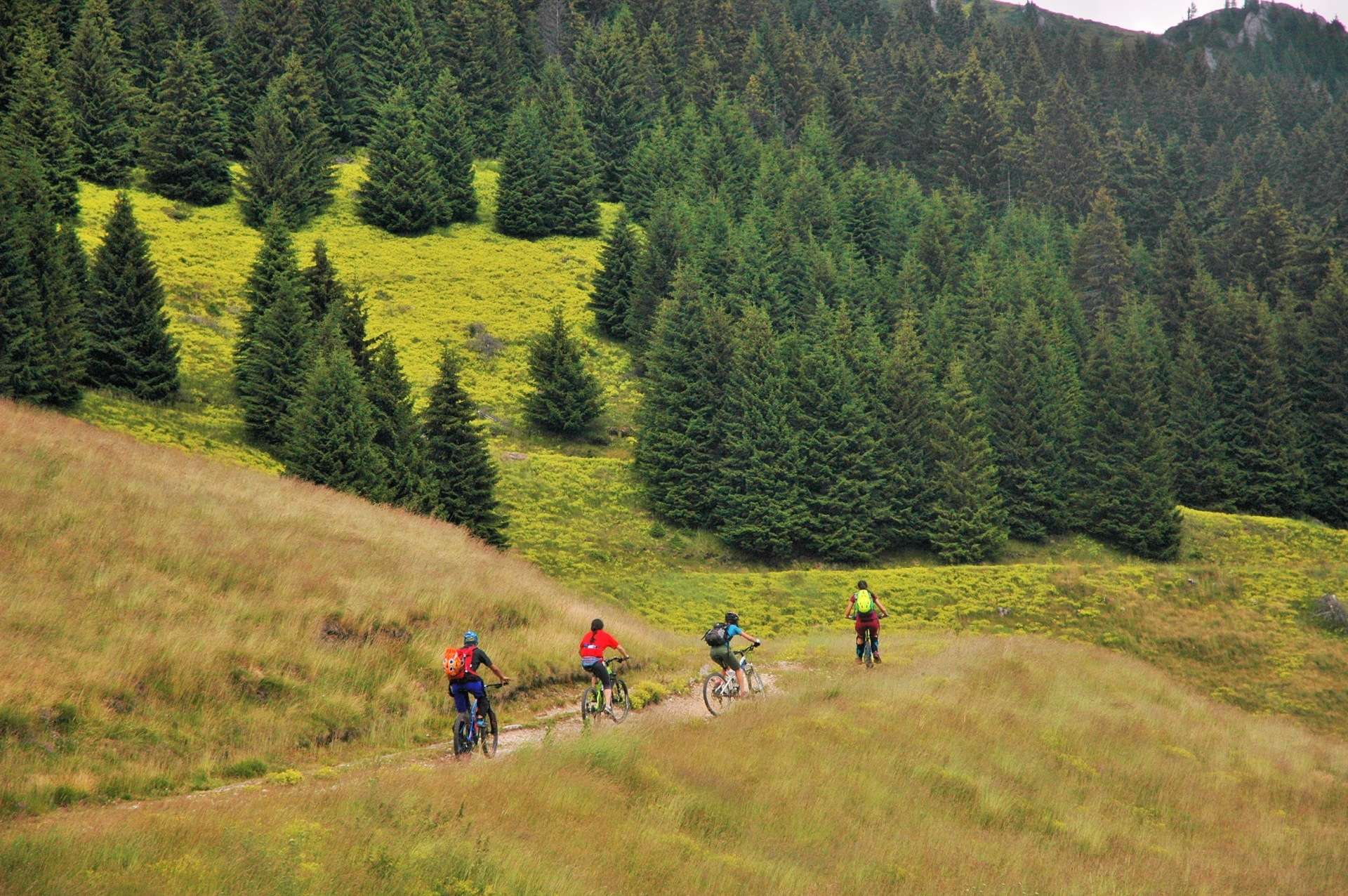 CNE #3 Ciucaș Enduro - Preludiul