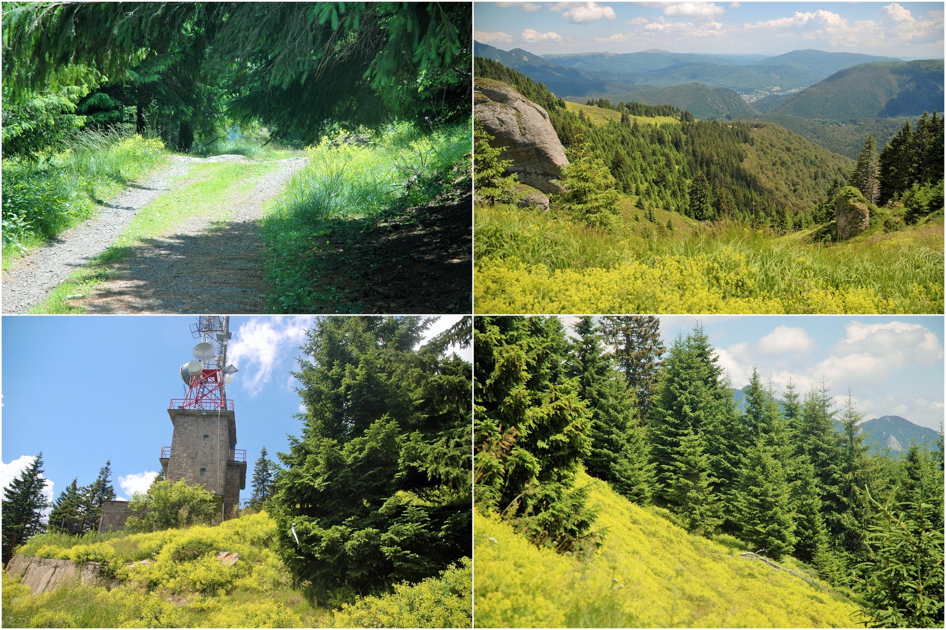 CNE #3 Ciucaș Enduro - Preludiul