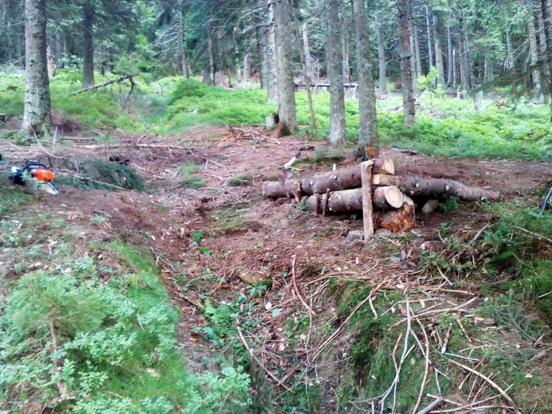 AREUS Downhill Vârtop - Surprinzătorul Sfânt Septembrie