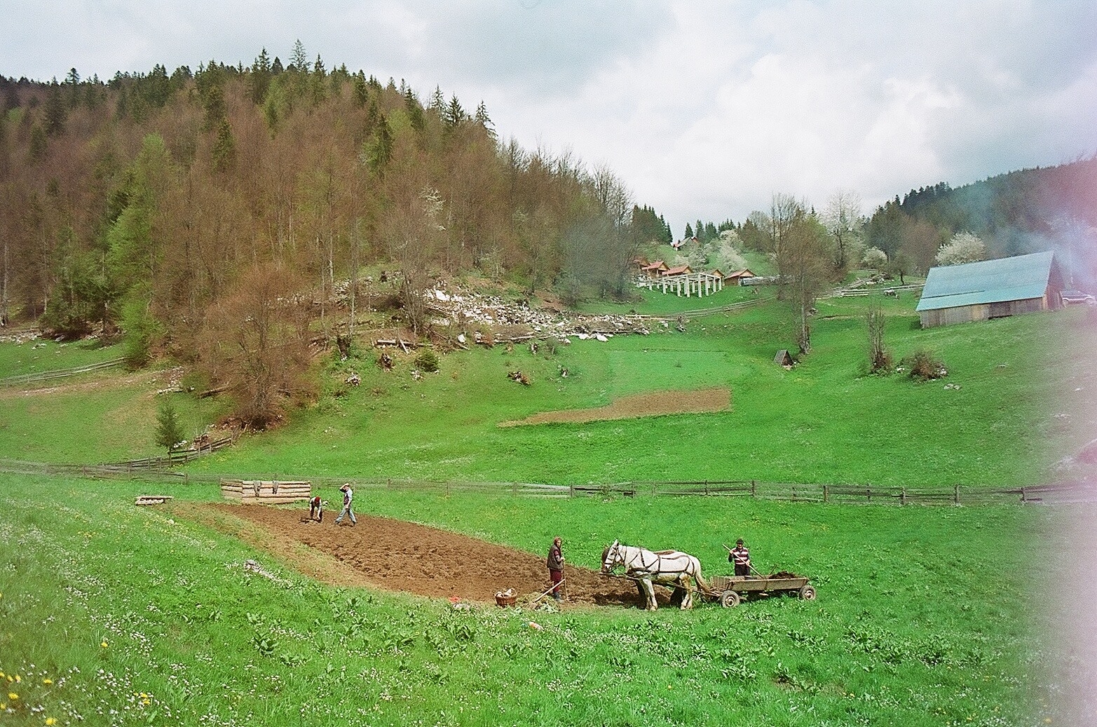 AREUS Downhill Vârtop - Surprinzătorul Sfânt Septembrie