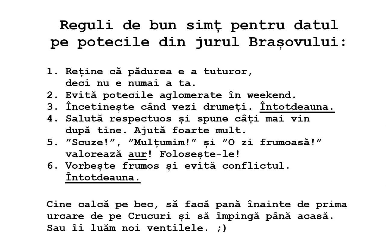 Decalogul începătorului prin pădure