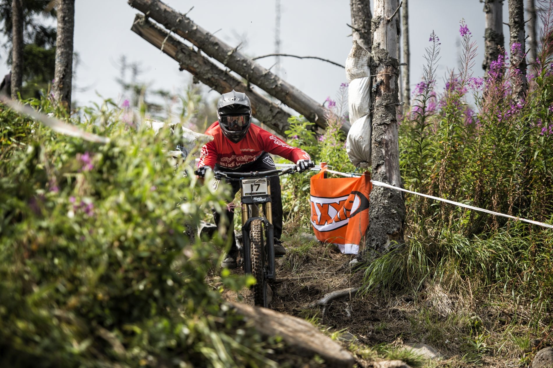 Campionatul Național de Downhill 2019, Harghita Mădăraș - Ia cu pită!
