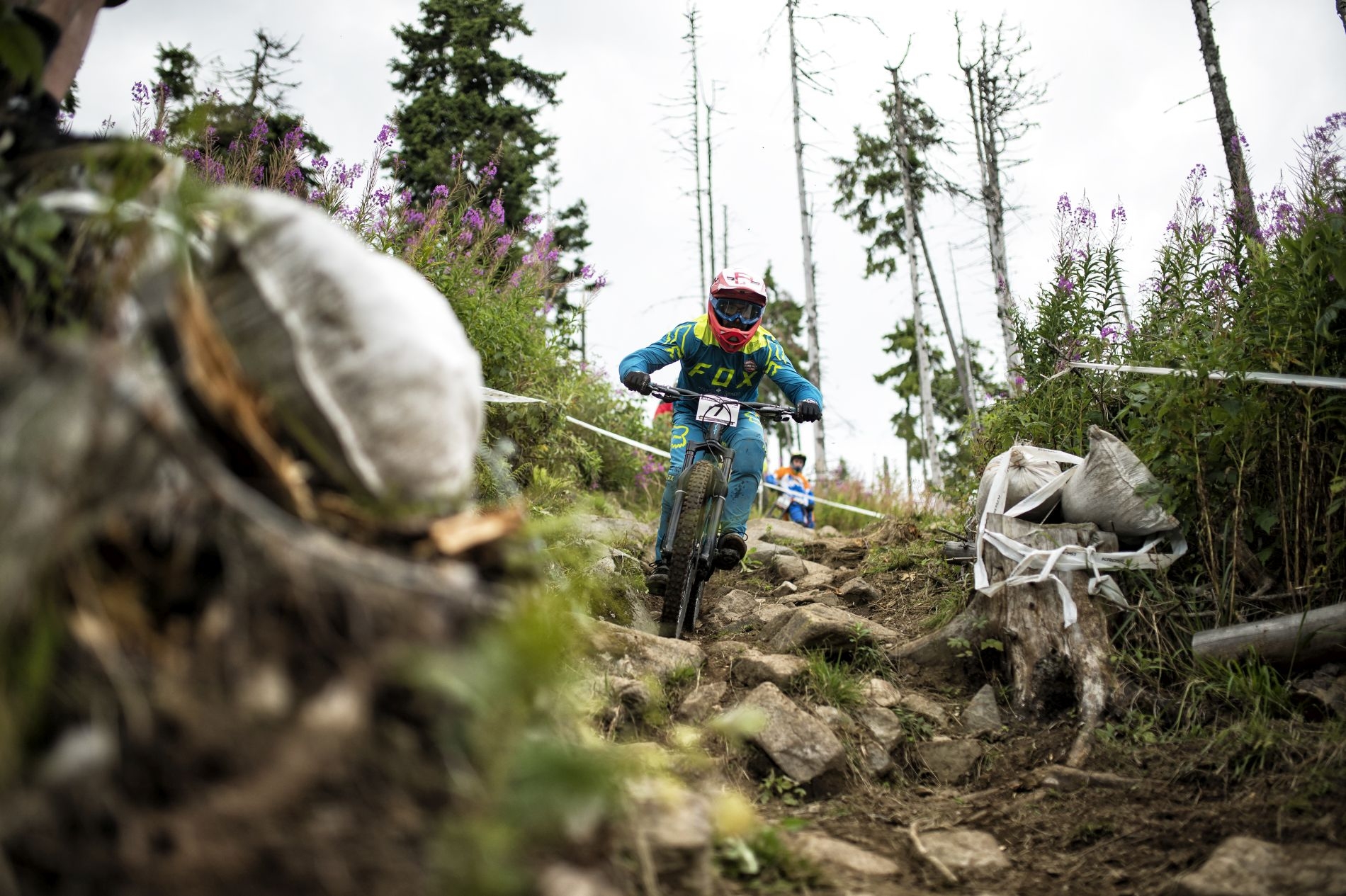 Campionatul Național de Downhill 2019, Harghita Mădăraș - Ia cu pită!