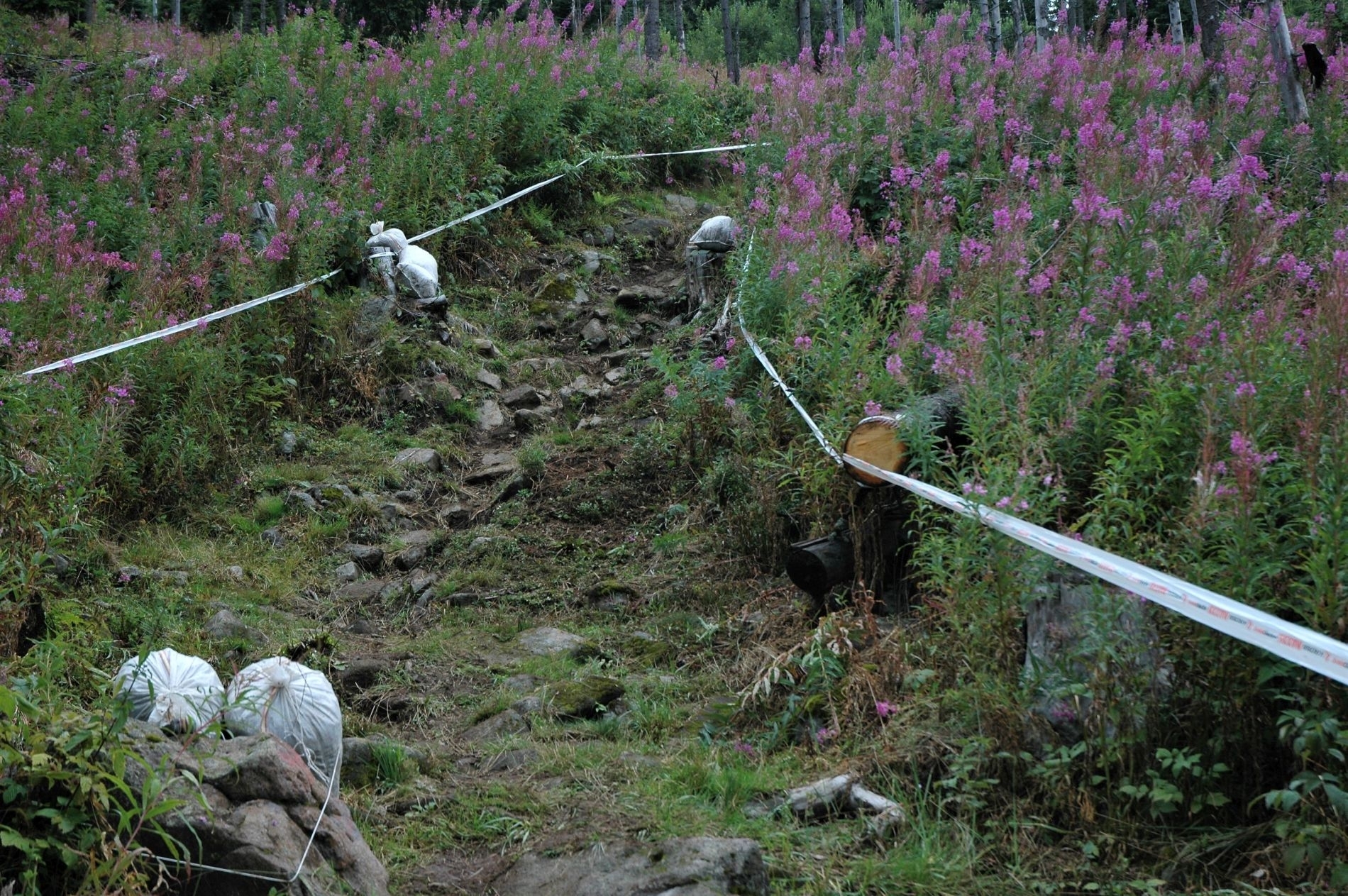 Racing reloaded: Campionatul Național de Downhill 2020, Harghita Mădăraș