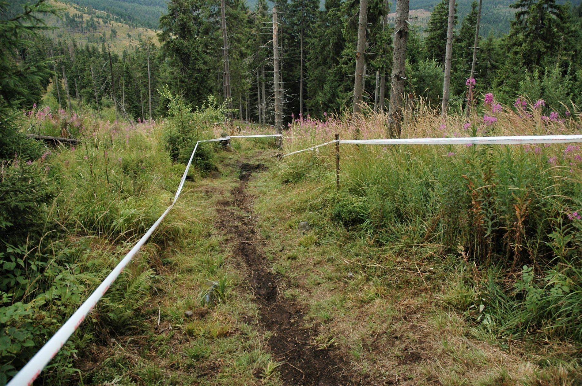 Racing reloaded: Campionatul Național de Downhill 2020, Harghita Mădăraș