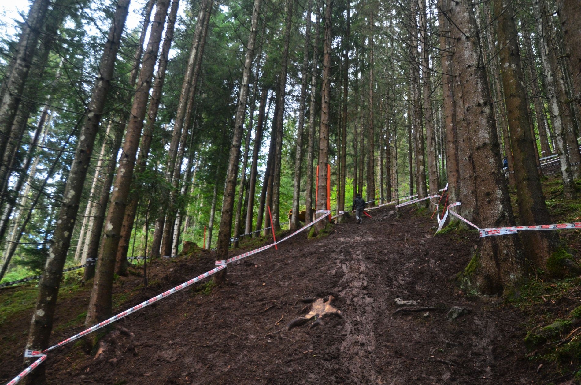 Mondiale Leogang 2020 - Track walk printr-un traseu ”de bikepark” și alte minciuni