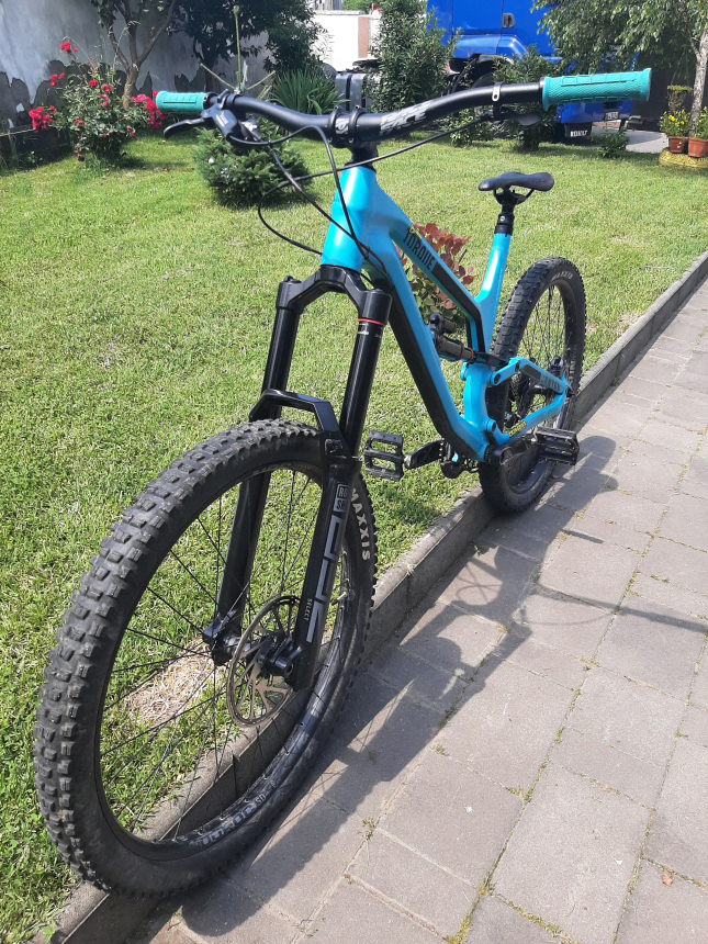 Canyon torque al 2019